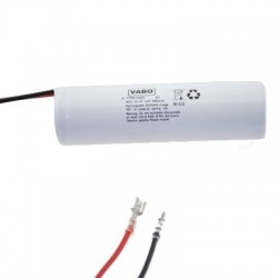 Batterie éclairage de secours 2xD 2.4V