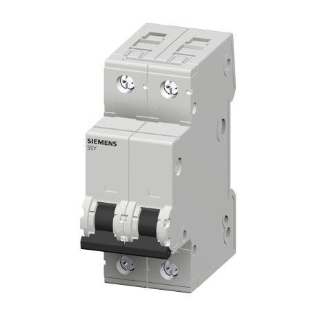 Disjoncteur 2P 2A 10kA courbe C