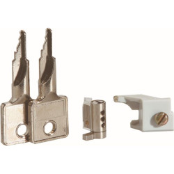 Vector serrure + 2 clés