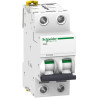 iC60L 2P  6A  C