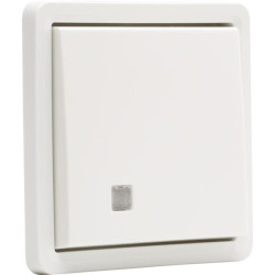 Hydro poussoir 10A voyant blanc