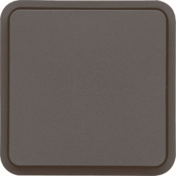 Interr va et vient gris 10AX 250V QC