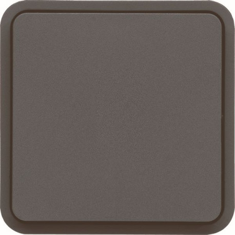 Interr va et vient gris 10AX 250V QC