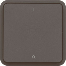 Interr. bipolaire, gris, 10AX 250V