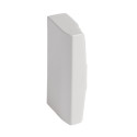 Embout goulotte 50 x 100 mm DLP sans hal