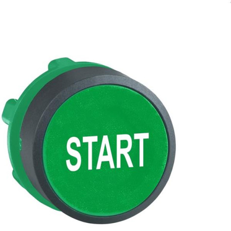 Tête poussoir blanc/vert