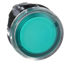 Tête bout.pous.illum.vert