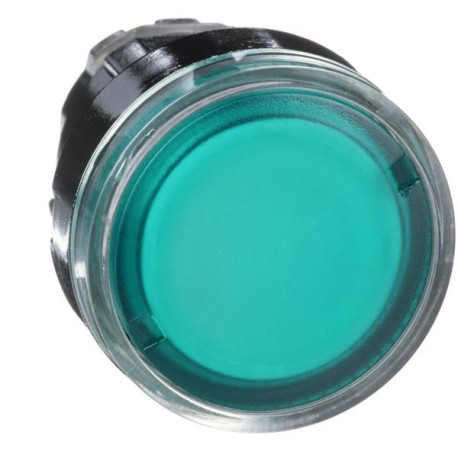 Tête bout.pous.illum.vert