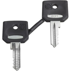 Clé d'échange 3131A  2pcs