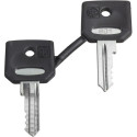Clé d'échange 3131A  2pcs