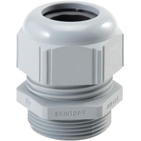 SKINTOP STR-M 63X1.5 RAL 7001 SGY