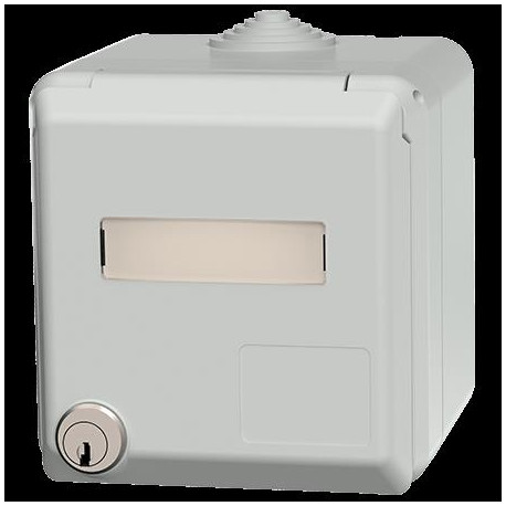 CEPEX PRISE MURALE 1NF RAL7035 IP44