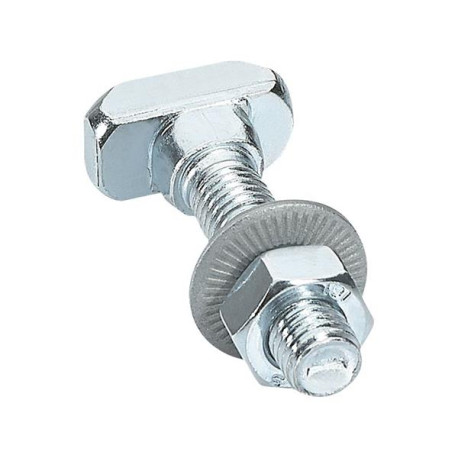 Set 100 noix de marteaux L40P