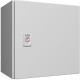 AX Coffret 300x300x210 1P 1PLDM RAL7035