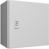 AX Coffret 300x300x210 1P 1PLDM RAL7035