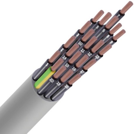 LIYY CCA S3D2A3 NUM 21G1