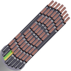 LIYY CCA S3D2A3 NUM 50G0,75