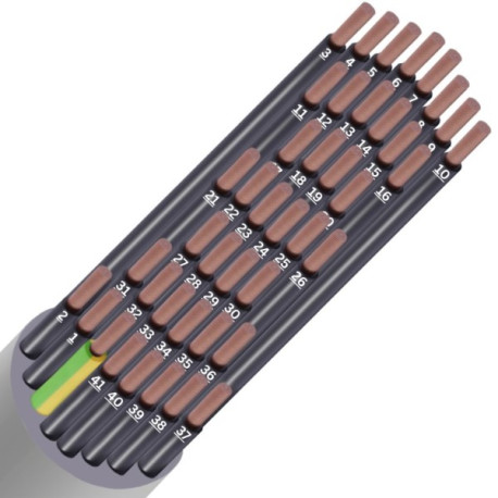 LIYY CCA S3D2A3 NUM 42G1