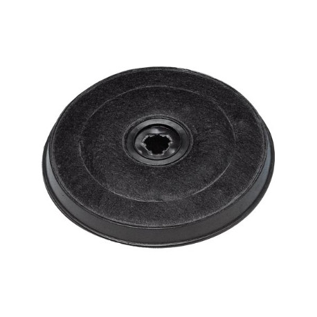 Filtre à charbon actif