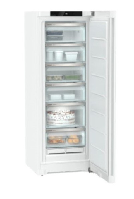 Surgélateur 239lt 60x165cm D