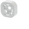 SM box Normal Blanc