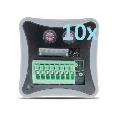 BOÎTE AVEC 10x COOKIE (10x TDS12134)