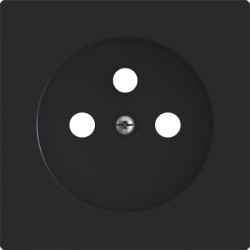 ZS55 - Enjoliveur prise terre (Antracite