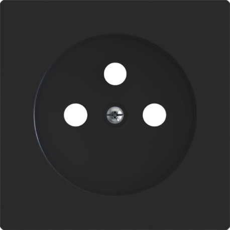 ZS55 - Enjoliveur prise terre (Antracite