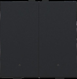 Home Control commande double avec led