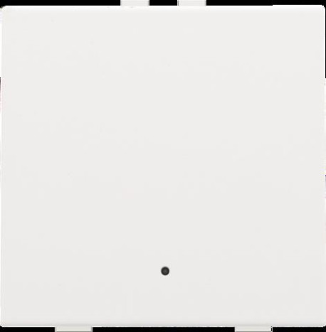 BOUTON-POUSSOIR SIMPLE