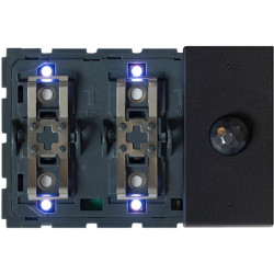 Interrupteur-thermostat + détecteur noir