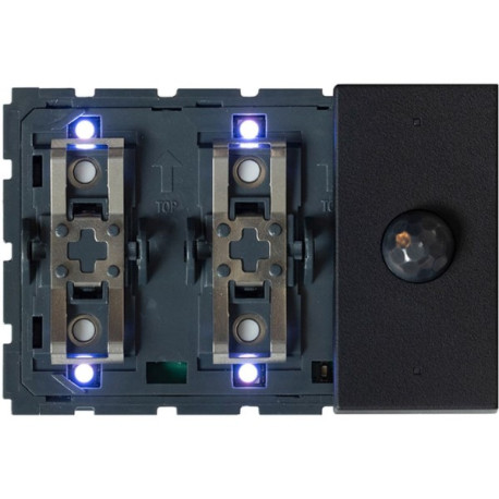 Interrupteur-thermostat + détecteur noir