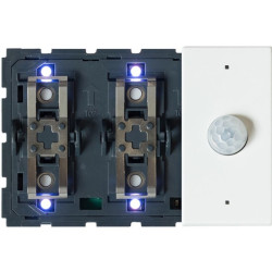 Interrupteur-thermostat + détecteur blan