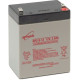 Batterie enp 12v 2.9ah, 10 par boite