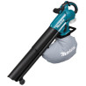 Souffleur/aspirateur de feuilles 18V