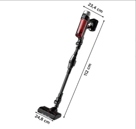 Aspirateur balai X-Force Flex 9.60