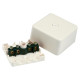 Boîte de dérivation 2,5mm2 IP54 grise av